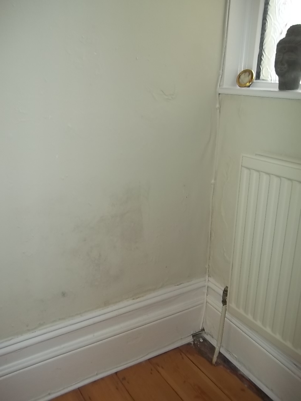Rising Damp And Home Insurance Cover Surveyor S Notebook